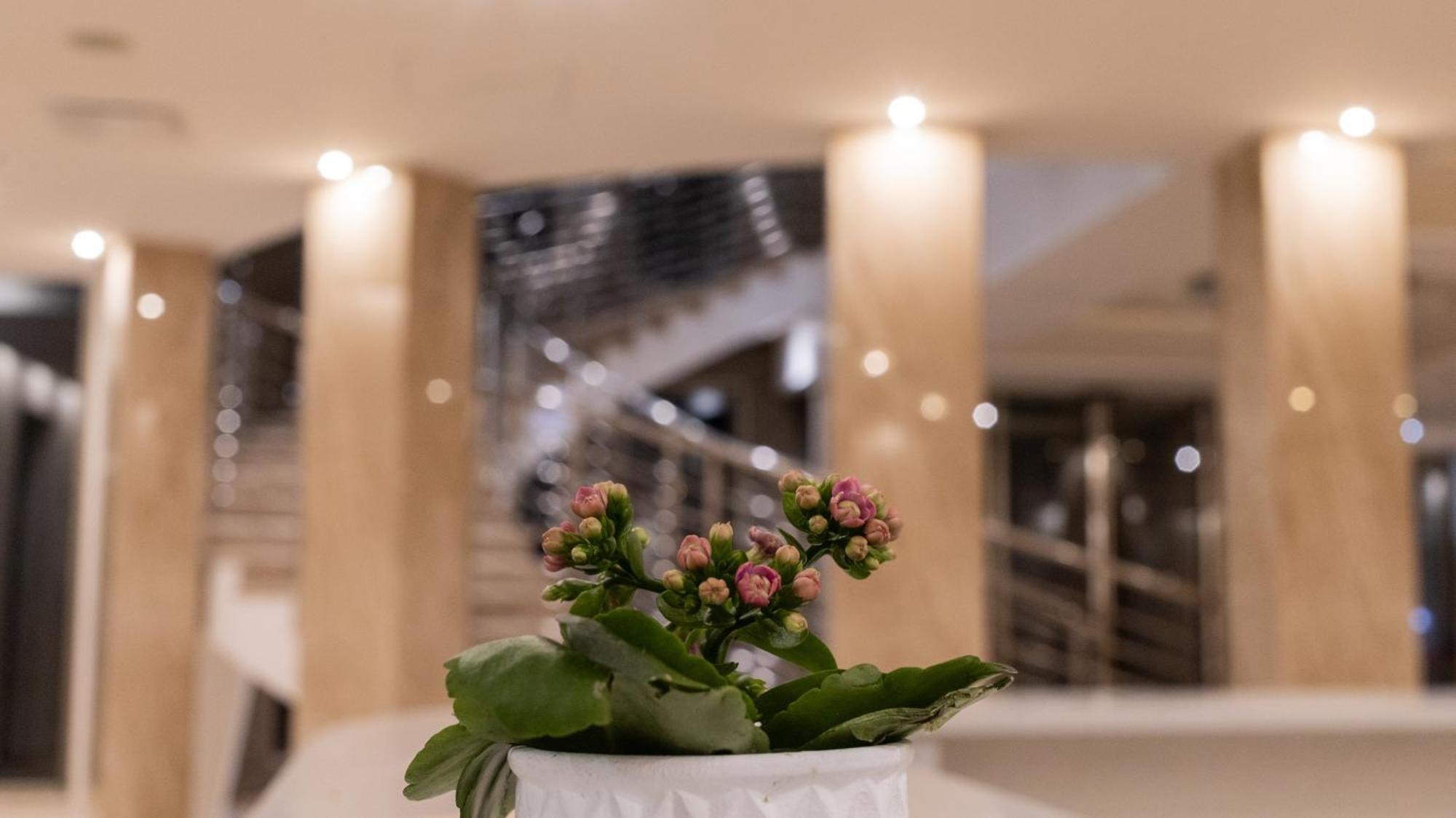 Hotel Donna Crescenza لوكوروتوندو المظهر الخارجي الصورة