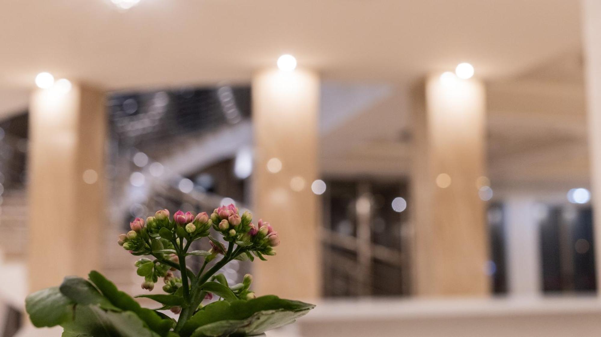 Hotel Donna Crescenza لوكوروتوندو المظهر الخارجي الصورة